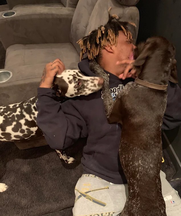 Cão de Juice WRLD chora ao ouvir música do rapper e emociona fãs nas redes sociais