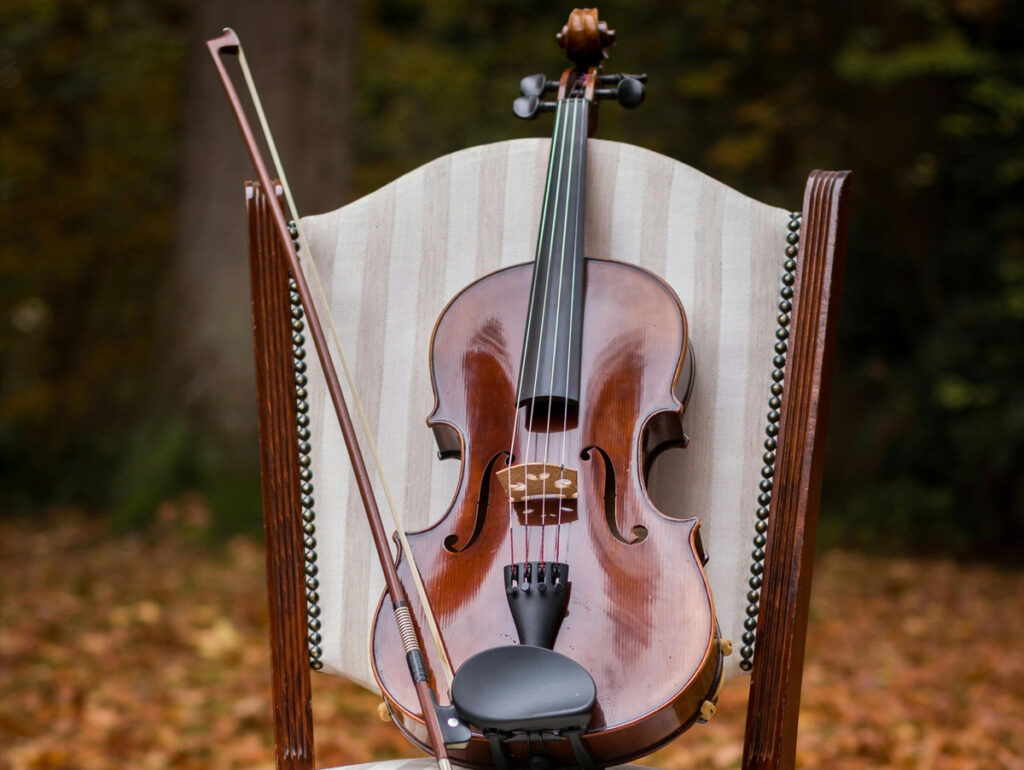 Violino; bolsas de estudo