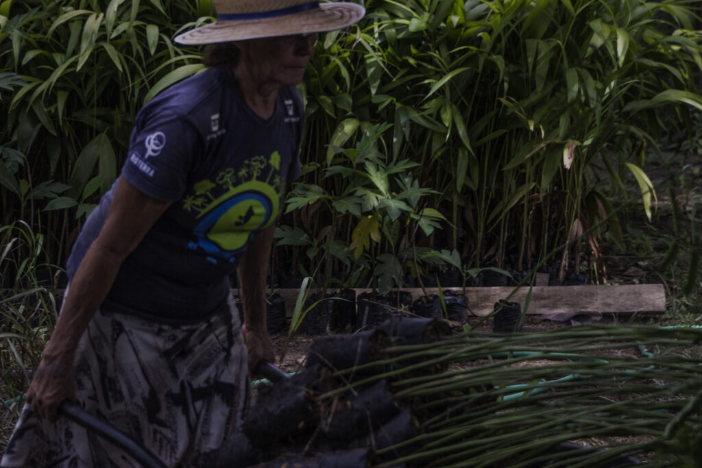 Festival dos Povos da Floresta Chega a Boa Vista para Celebrar a Cultura Amazônica