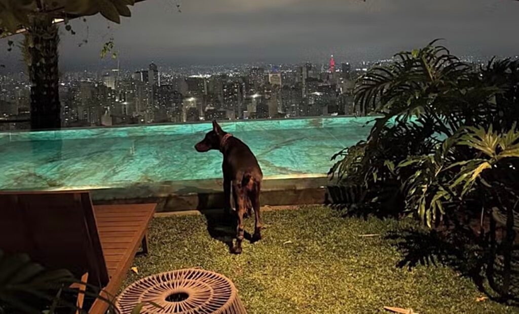 Saiba mais sobre a Suíte de Luxo que vive Memphis Depay