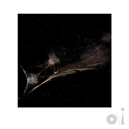 Peter Gabriel lança “Put the Bucket Down”, segundo single do álbum “oi”