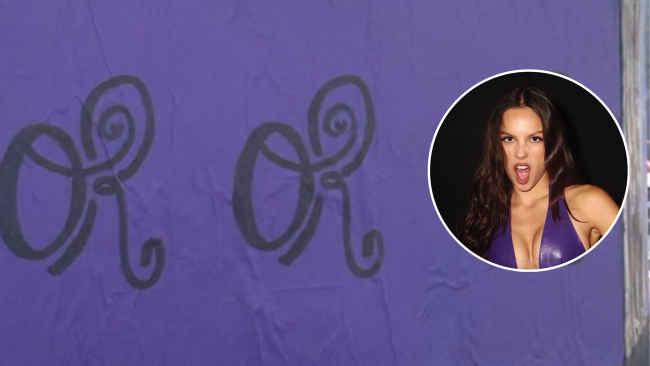 (Foto: Reprodução/X)