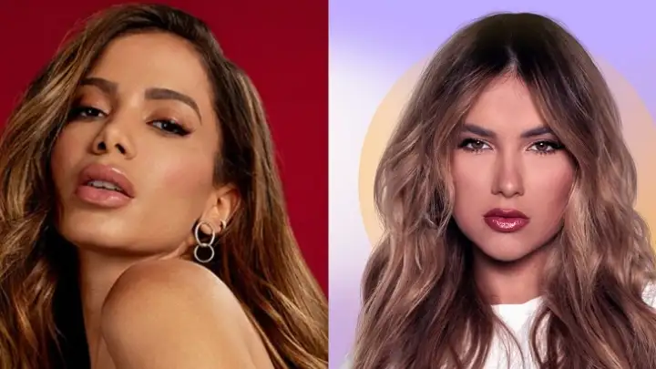 Anitta curte crítica de humorista a Virginia após polêmica com macaco: "irresponsável"