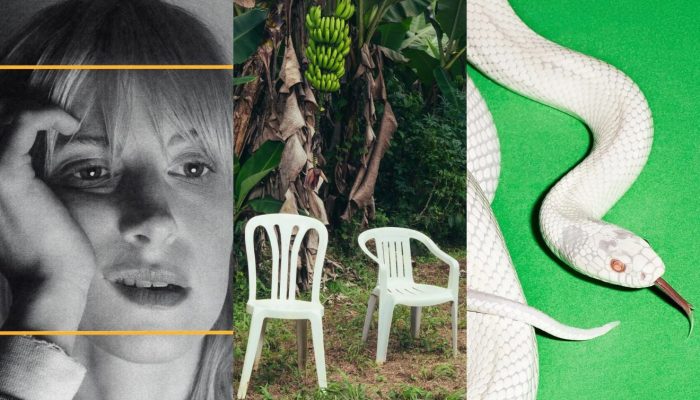 10 discos que merecem ser premiados no Grammy 2026