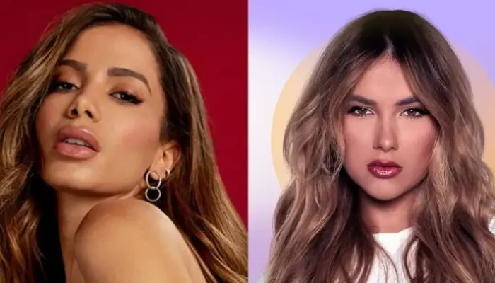 Anitta curte crítica de humorista a Virginia após polêmica com macaco: "irresponsável"