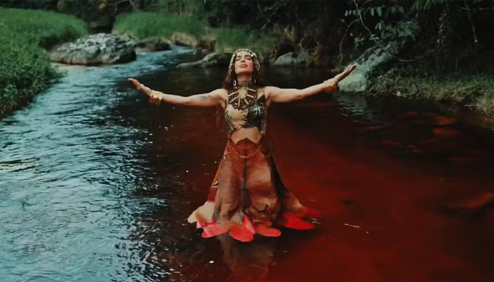 (Foto: Reprodução)