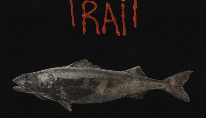 Deadcat Lança 'Trait' e Revela 'Goth Ranch', Nova Fase Sonora entre Gótico, Indie e Western