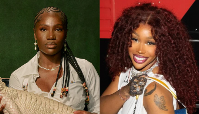 (Foto: Divulgação/Reprodução)