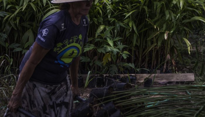 Festival dos Povos da Floresta Chega a Boa Vista para Celebrar a Cultura Amazônica