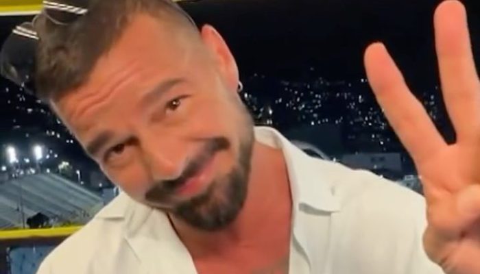 “Fui brasileiro em outra vida”: Ricky Martin rasga elogios ao Carnaval direto da Sapucaí