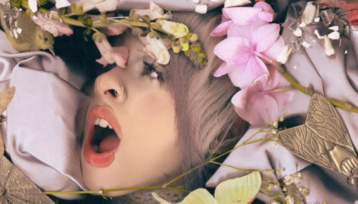 (Foto: Divulgação)