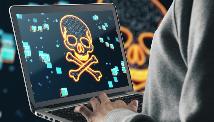 Pirataria, Operação Lumen