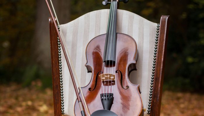 Violino; bolsas de estudo