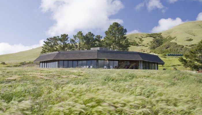 Djerassi Resident Artists Program