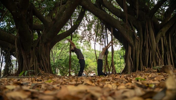 Projeto Desestressa Dançando integra arte e saúde por meio de oficinas gratuitas para a comunidade