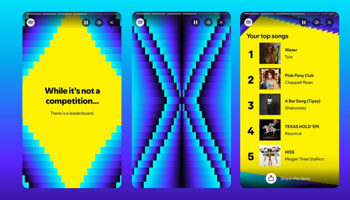 Spotify Wrapped 2024 2