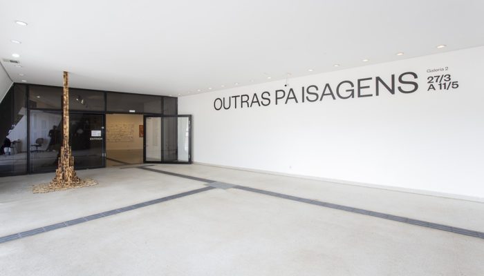 Últimos dias para visitar a exposição Outras Paisagens no Museu Nacional da República