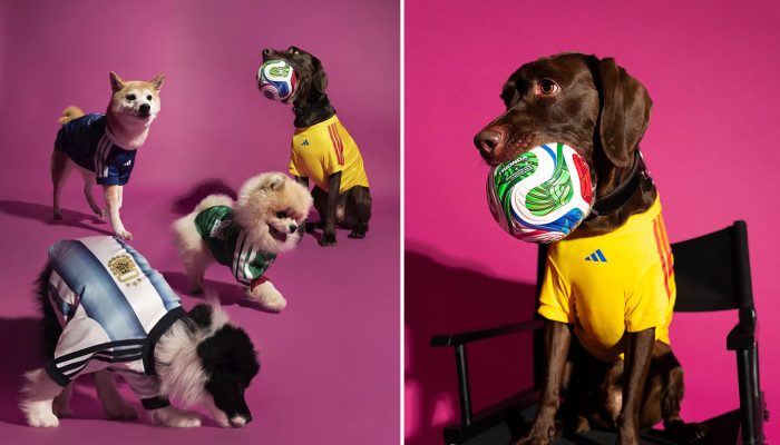 Uniformes da Copa 2026 inspiram nova coleção pet da Adidas
